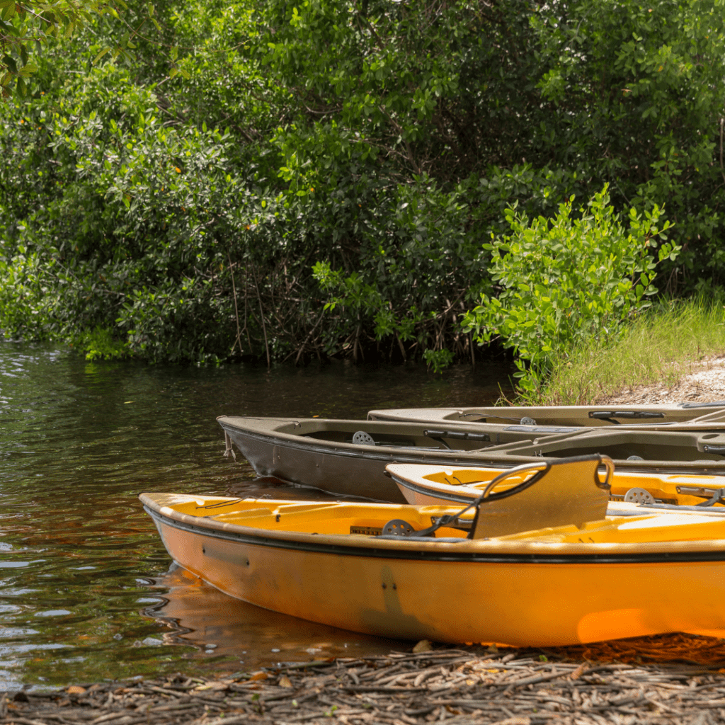 3 Best Kayaking Spots for the Summer Live Coastal